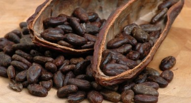 Рост цен на какао.