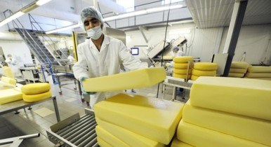 Украинский сыр вновь не понравился Онищенко, Россияне нашли у украинских сыроделов новые нарушения.