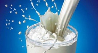 Цены на молово в Украине, падение цен на молоко в Украине составило 8%.