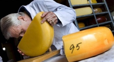 Онищенко все еще думает насчет украинского сыра, Онищенко обещает не тянуть с украинским сыром.