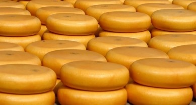 «Дубномолоко» возобляет поставки сыров в Россию.