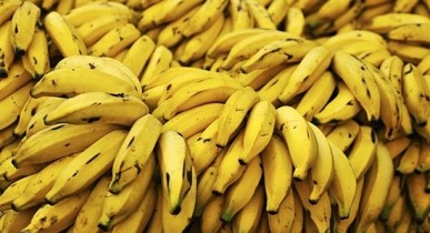 Бананы заменят хлеб.