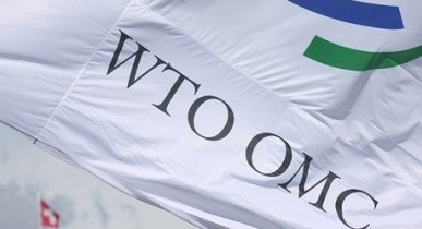 Члены ВТО обеспокоены действиями Украины.