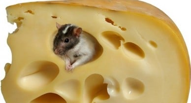 Украинский сыр опять невыездной.