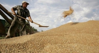 Минагрополитики договорилось об активизации экспорта зерна.