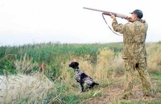 В Украине могут ввести мораторий на охоту
