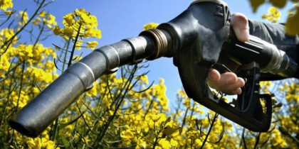 Евросоюз намерен ограничить использование биотоплива.