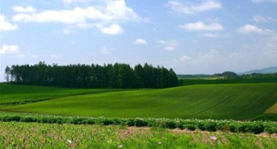 Украина - одна из самых привлекательных стран для покупки земли.