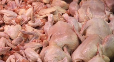 Украина сегодня начинает экспорт курятины в ЕС .