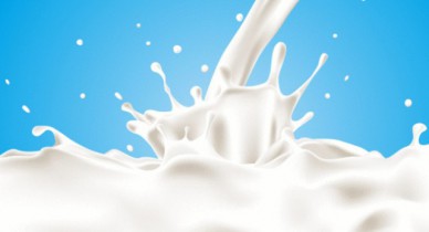 Депутаты предлагают создать в Украине центры заготовки молока.