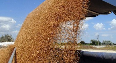 Украина запретила импорт кормов и зерна из нескольких округов России.