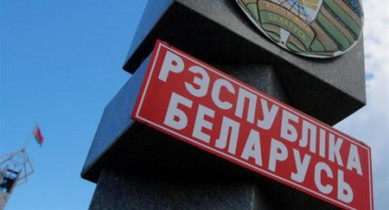 Украина усилит контроль на границах с РФ и Беларусью из-за вируса АЧС.