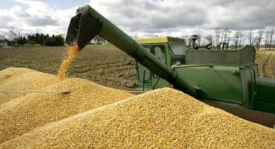 Конкуренция со стороны Украины может вынудить Россию сократить экспорт зерна.