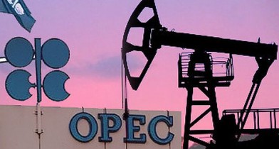 ОПЕК повысила прогноз мирового спроса на нефть.