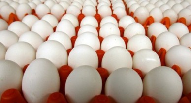 Производитель яиц Ovostar за три года намерен вложить в свое развитие 90 млн долларов.