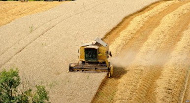 Рекордный урожай пшеницы позволит сдерживать рост цен на продовольствие.