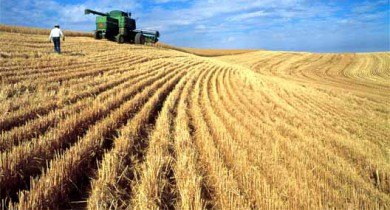 Минэкономразвития повысило прогноз экспорта зерновых.