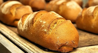«Хлебные инвестиции» намерены инвестировать в развитие 20 млн евро.