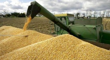 Отсрочка возврата НДС при экспорте зерна противоречит Соглашению с ЕС.