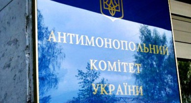 АМКУ оштрафовал «Хюндай Мотор Украина» и «Паритет Моторс».