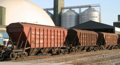 «Укрзализныця» увеличила в сентябре перевозки зерновых.