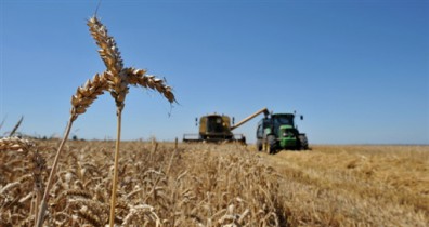 Минагропрод повысил прогноз экспорта зерновых из Украины.