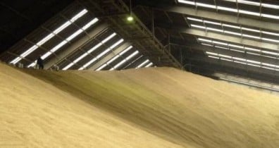 Украинские производители зерновых в 2013 г. потеряют около 2 млрд гривен.