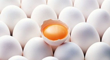 Более 70% украинских производителей яиц не соответствуют стандартам ЕС.