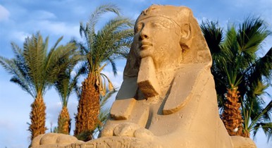 Операторы увеличили количество чартеров в Египет.