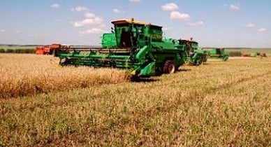 В Украине на 1 ноября количество фермерских хозяйств уменьшилось на 0,3%.