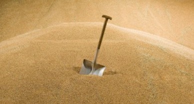 Минагрополитики повысило прогноз экспорта зерна на 8,3%.
