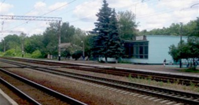 Железные дороги Украины увеличили среднесуточную погрузку зерновых на 38%.