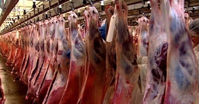 Россия заморозила 76% поставок мясной продукции из Парагвая.