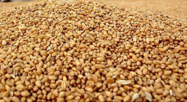 Запасы зерна в Украине выросли на 29%.