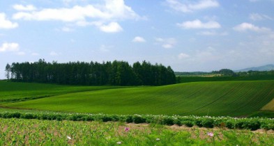 Систему регистрации аренды земельных паев в Украине упростят с 12 февраля.