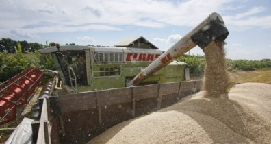 Минсельхоз США повысил прогноз экспорта зерна из Украины.