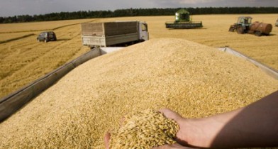 Украина экспортировала почти 25 млн тонн зерна.