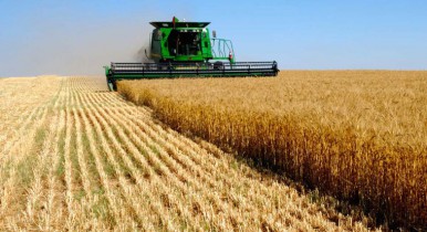 В Украине повысят фиксированный сельхозналог.