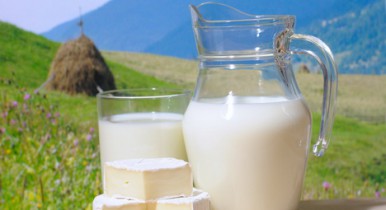 Минагрополитики будет бороться с занижением цен на молочное сырье.