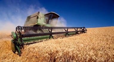 Госстат опубликовал данные о сельхозпроизводстве за август