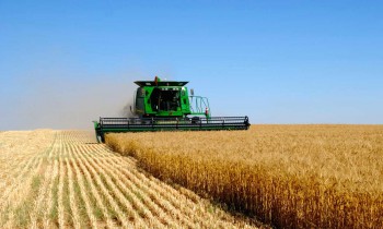 Аграрии Украины собрали 55,2 млн тонн зерна