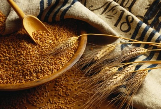 Украина уже экспортировала 16,8 млн тонн зерна