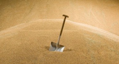 Украина уже экспортировала почти 20 млн т зерна.