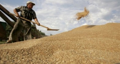 Возвращение НДС при экспорте зерна предусмотрено госбюджетом.