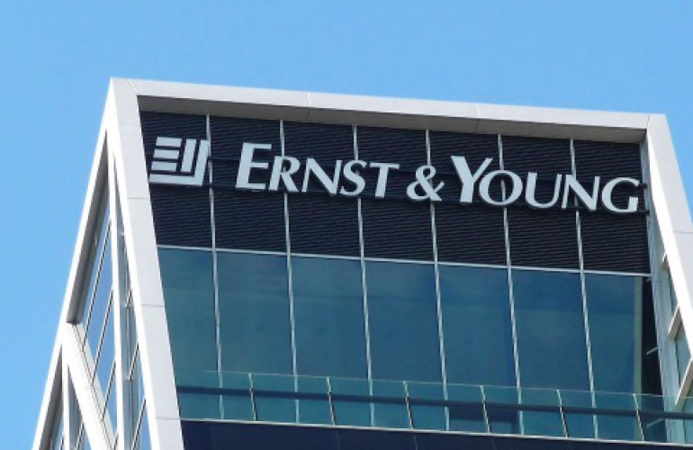 Компания Ernst&Young проведет комплексный анализ неплатежеспособного Дельта Банка с целью обнаружения фактов проведения проблемных или рисковых операций, не соответствующего выполнения процедур управления рисками и внутреннего контроля, обнаружение в деят