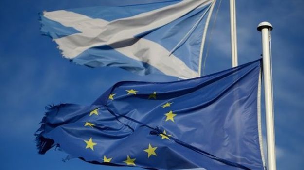 JP Morgan прогнозирует, что Шотландия проголосует за независимость и создаст собственную валюту, прежде чем Великобритания покинет ЕС в 2019 году.