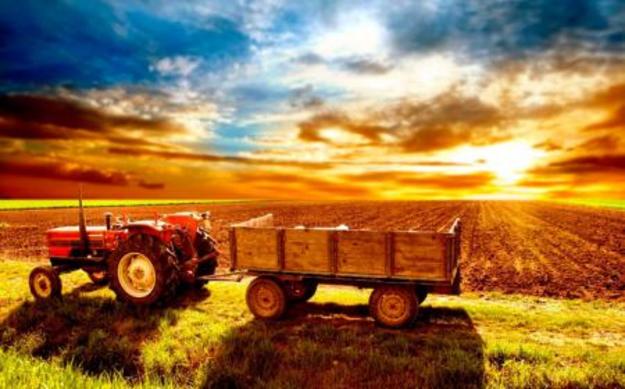 В прошлом году экспорт украинской сельскохозяйственной продукции в Европу вырос на 18%, а в страны Африки – на 80.