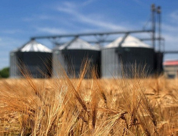 По предварительным оценкам, в 2016/2017 маркетинговом году, который завершился 30 июня, Украина экспортировала 43,8 млн тонн зерновых, что является абсолютным рекордом для страны.