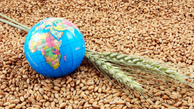 С начала 2017-2018 маркетингового года Украина экспортировала 3,947 млн тонн зерновых культур, в том числе почти 1,6 млн тонн пшеницы (в том числе продовольственной 0,739 млн тонн и фуражной 0,844 млнтонн), ячменя — 1,374 млн тонн, кукурузы — 0,949 млн то