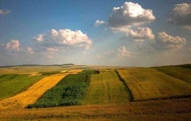 Кабинет министров Украины одобрил проект постановления о реализации пилотного проекта по проведению мониторинга земельных отношений.